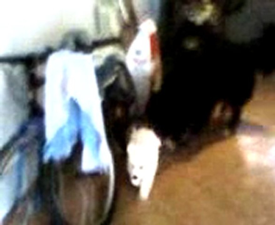 Vidéo0129