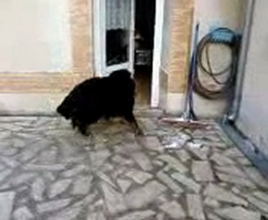 Vidéo0131