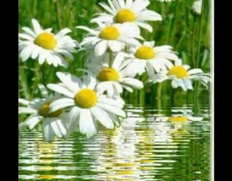 Gökyüzünde Bir Dolunay - Habib BİLDİK - Yılmaz ODABAŞI Şiiri