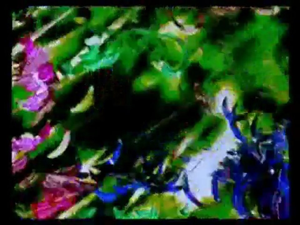 Acid Mothers Temple - 5 Seconds Demon