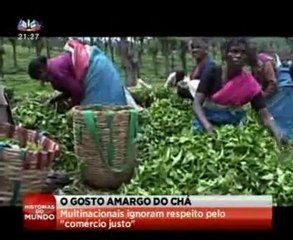 O gosto amargo do chá