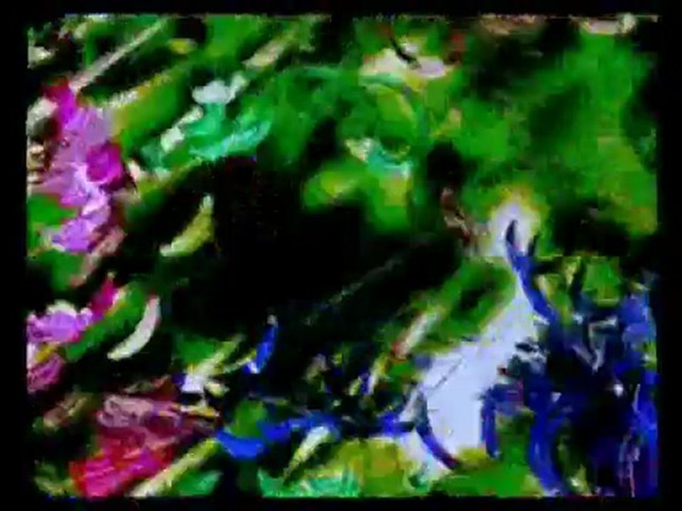 Acid Mothers Temple - 5 Seconds Demon