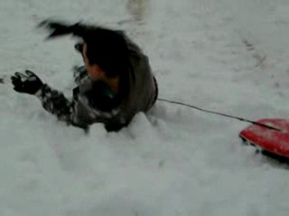 ambleteuse neige 11