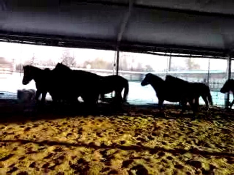 Défoulage des Nains x)