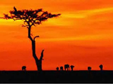 Africa de Rose Laurens chanté par Serge Boudot.