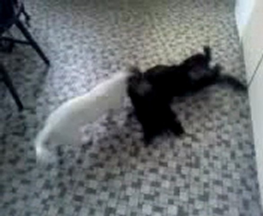 Etiquette et son compère