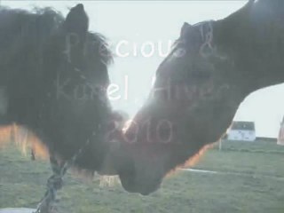 JANVIER 2010 precious et karel