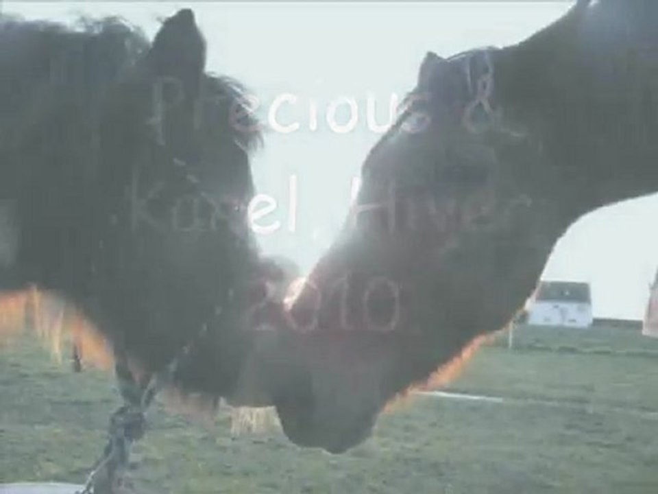 JANVIER 2010 precious et karel