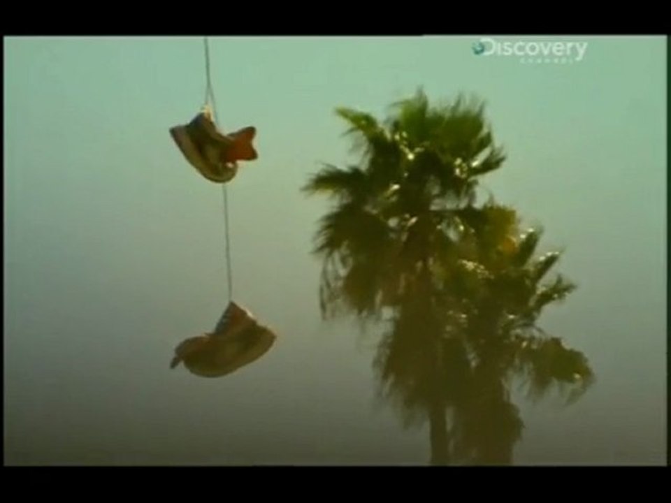 Los Angeles : Au coeur des gangs 2/3