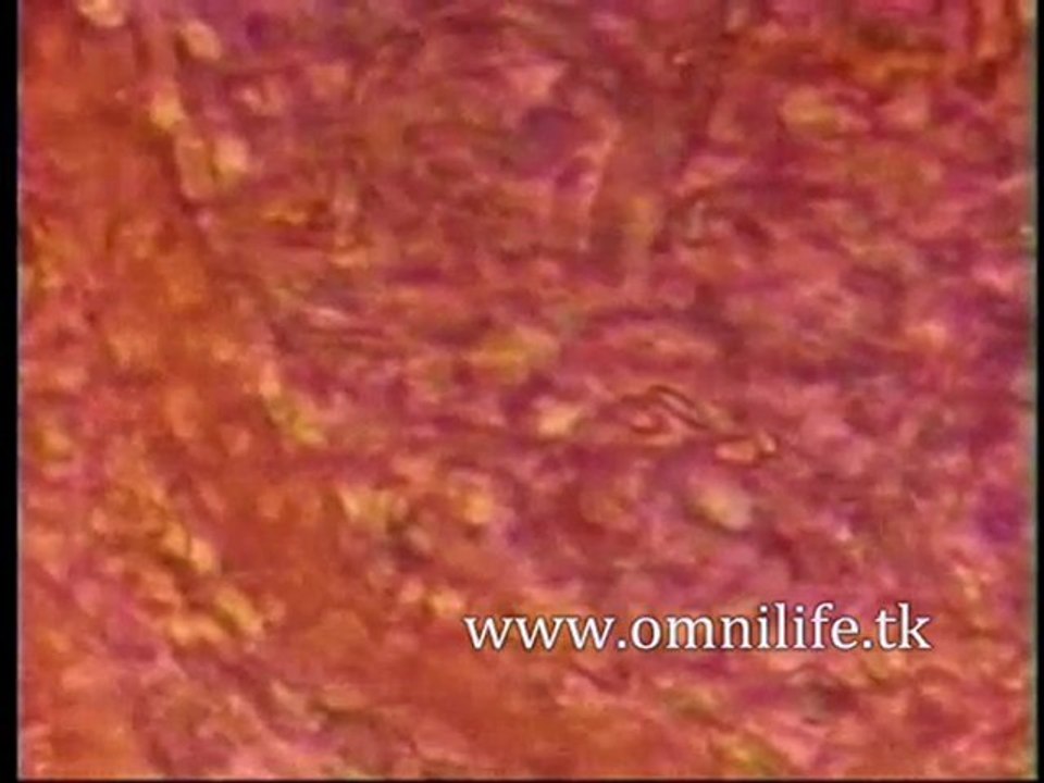 Comprar Productos Omnilife, Venta de productos omnilife