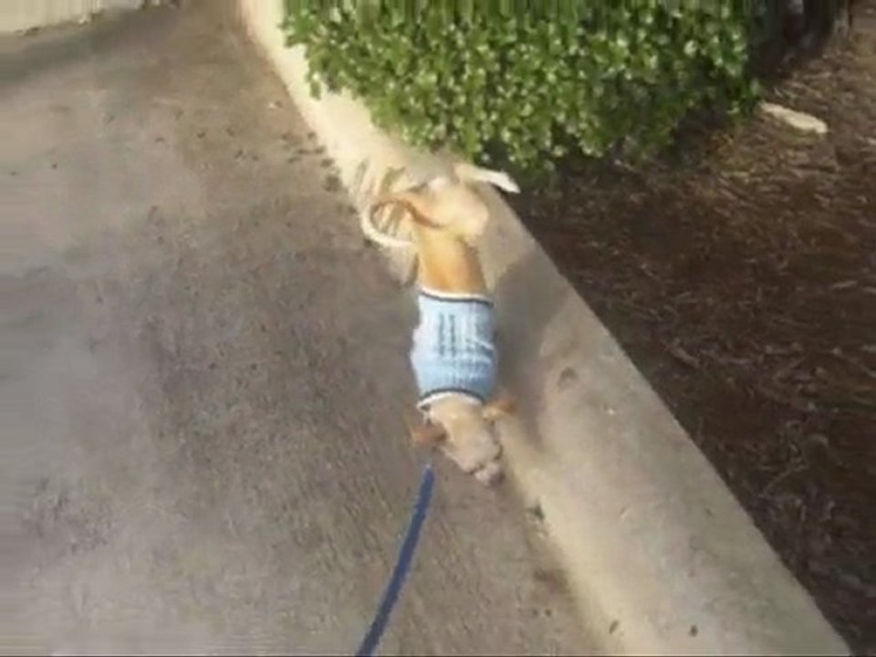 Pourquoi faire simple