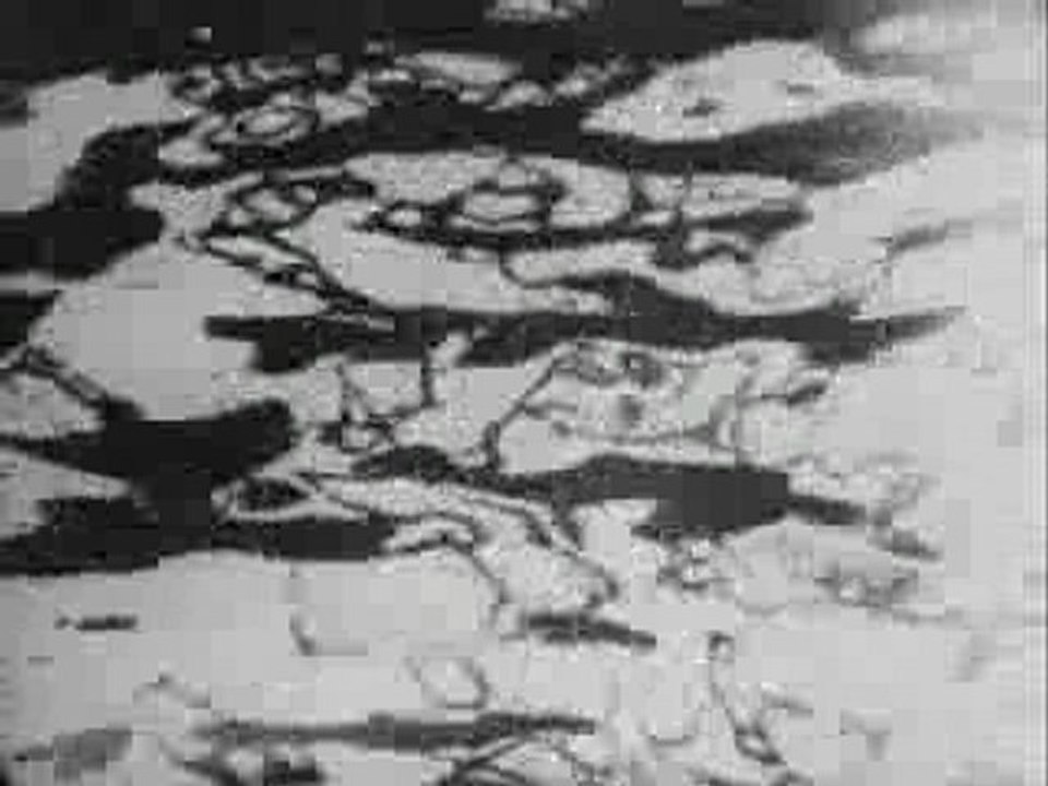 Acid Mothers Temple - Cosmic XXX Pt. 1