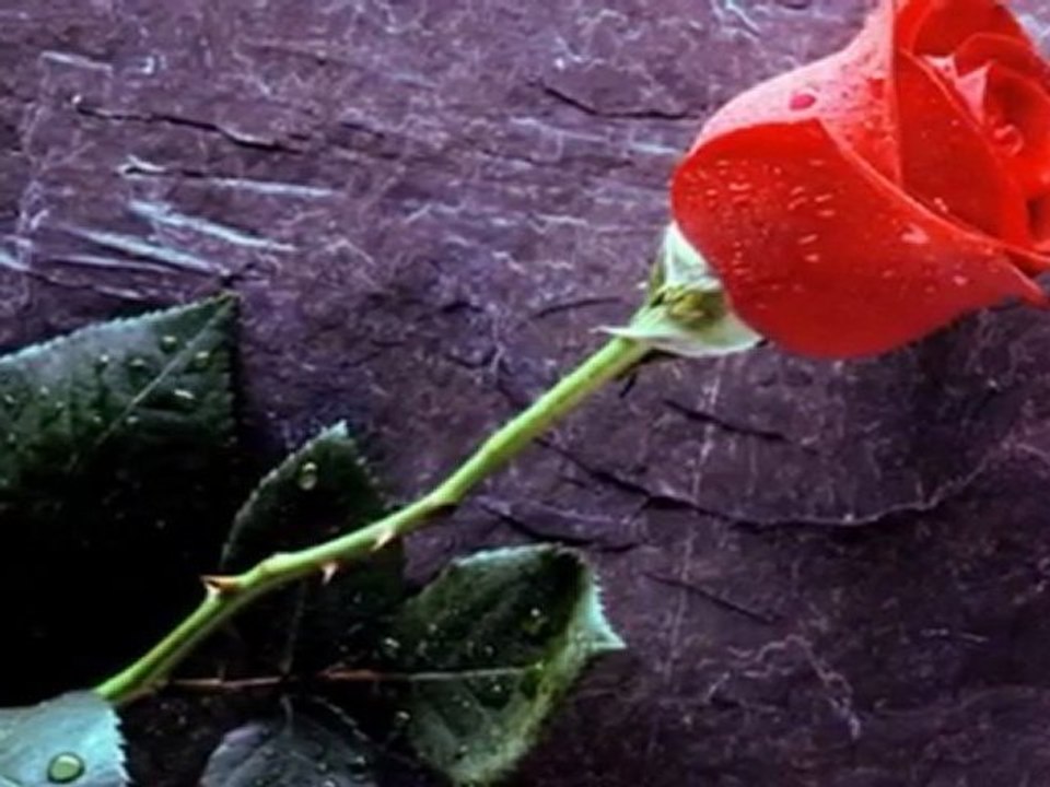 yagmur görüntülü