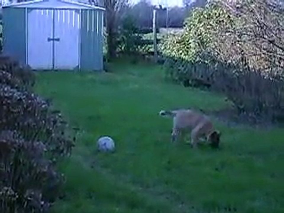 EROS EN JANVIER 2010