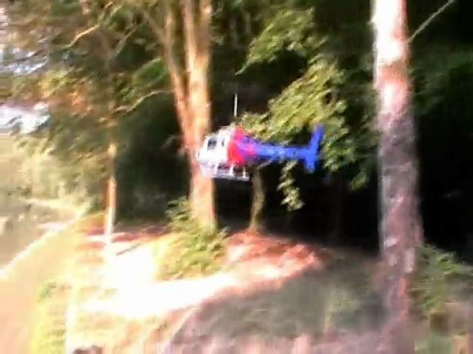 Esky Big Lama - Sunday Afternoon At The Park