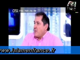 La société Française accepte les immigrés, sauf ses arabes