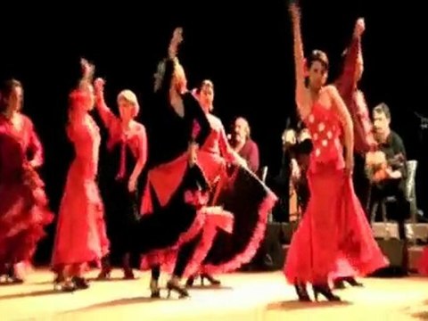 Fiesta Flamenca 2009