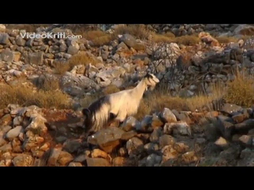 Crete Island The Wild Beauty - Greece Kreta Griechenland