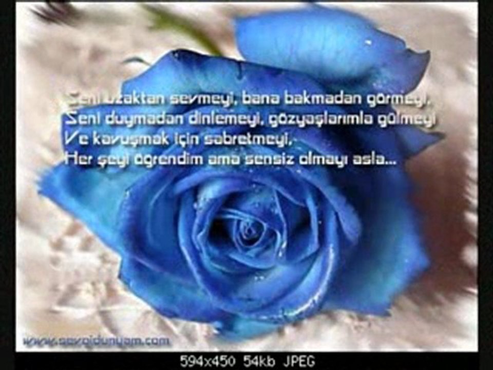 AL HADI VUR HANCERI VUR SITIMA NASILSA KAHPELIK SON MODA