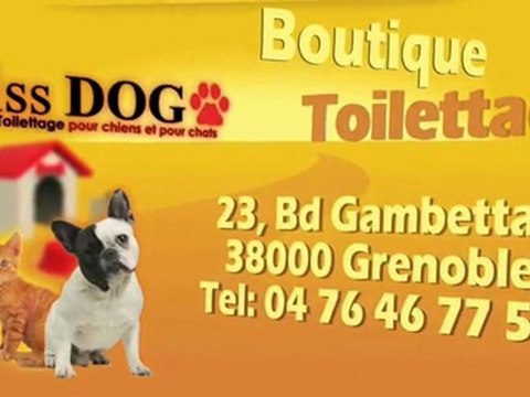 Toilettage chien, hygiène et stylisme pour chien à Grenoble