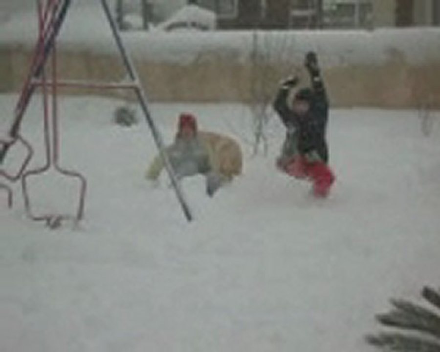 NEIGE Janvier  2010 032