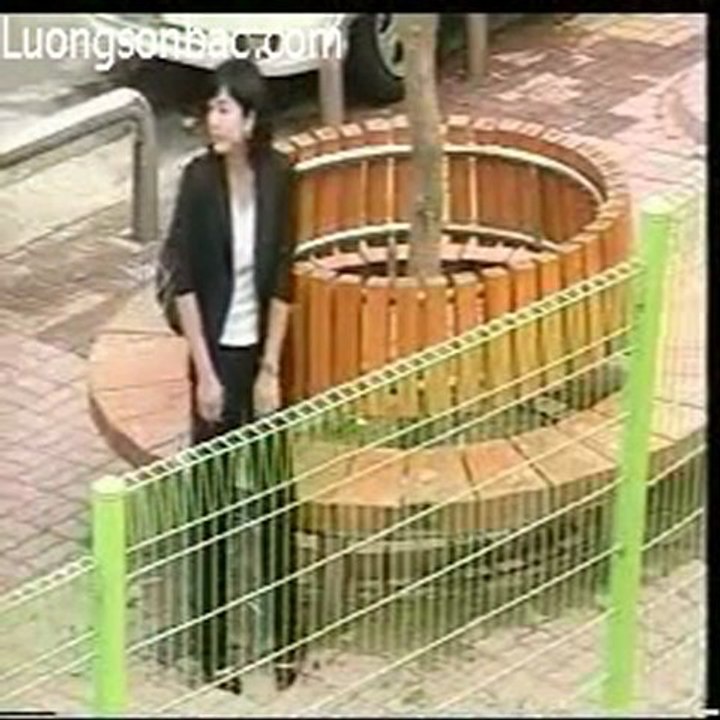 con meo duoi mai nha 16e-03