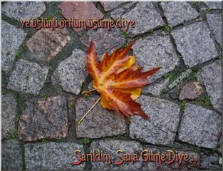 ERKAN AGA GİTME TURNAM