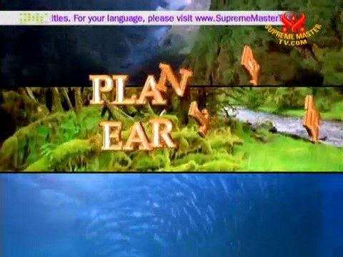 Children and Youth Unite for a Sustainable Planet - P1/2