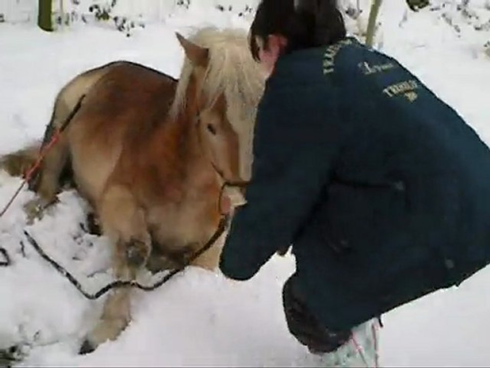 Kenzo && Magic dans la neige !