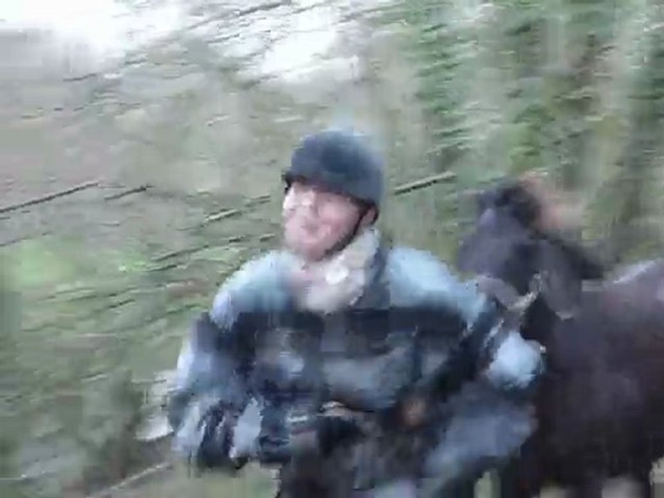 Princesse entraînement TREC Haie & Tronc