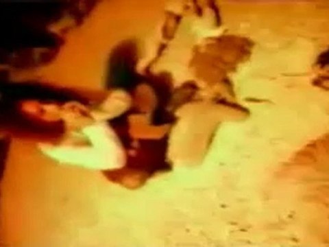 Assassin - Shoota Babylone