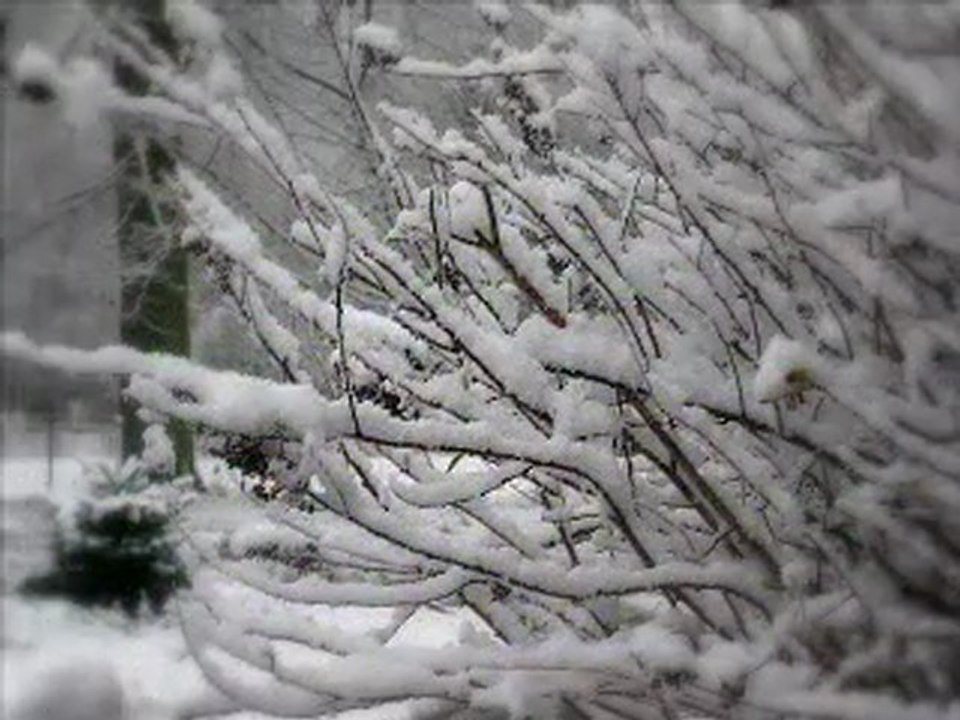 TOMBE LA NEIGE ! SALVATORE ADAMO