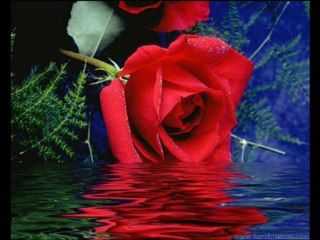 bedell yarr dewrimm aska dila zore  - www.kurtcesohbet.com