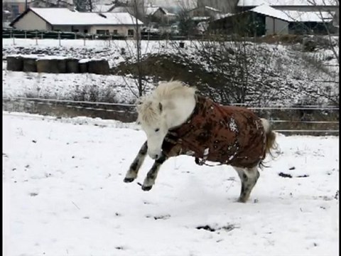 Khéops 7 janvier 2010