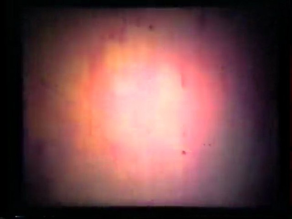 Conrad Schnitzler: Collection A #12 Schöne Grüße