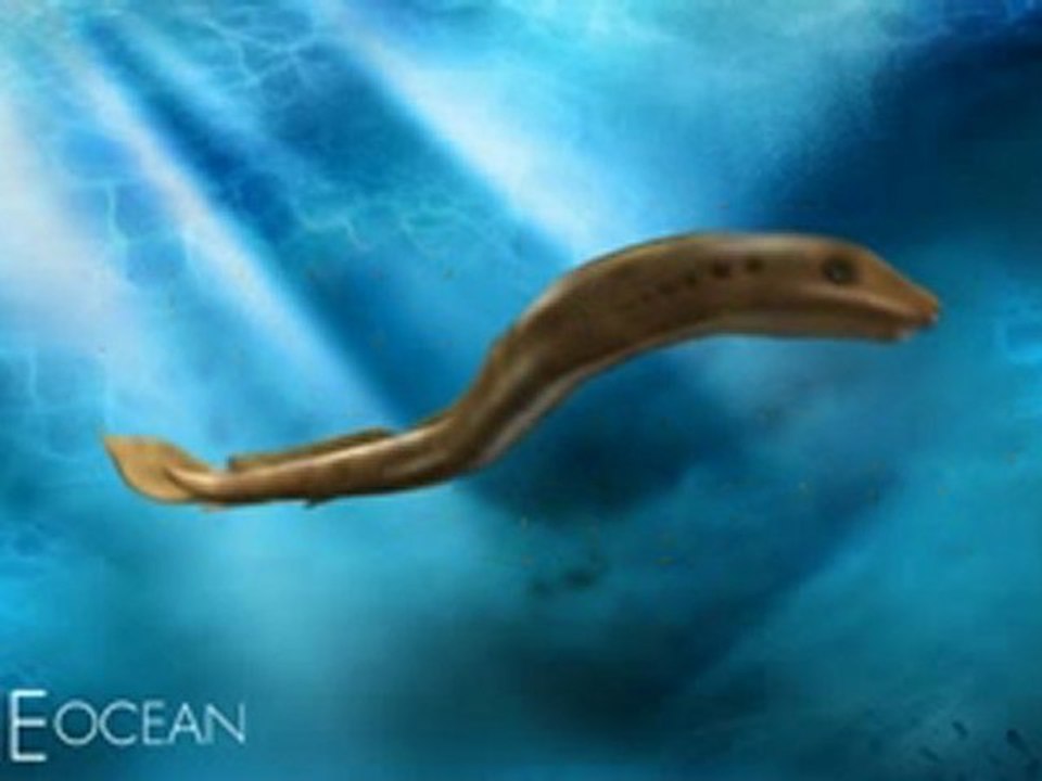 Lamprey 3D Rendering