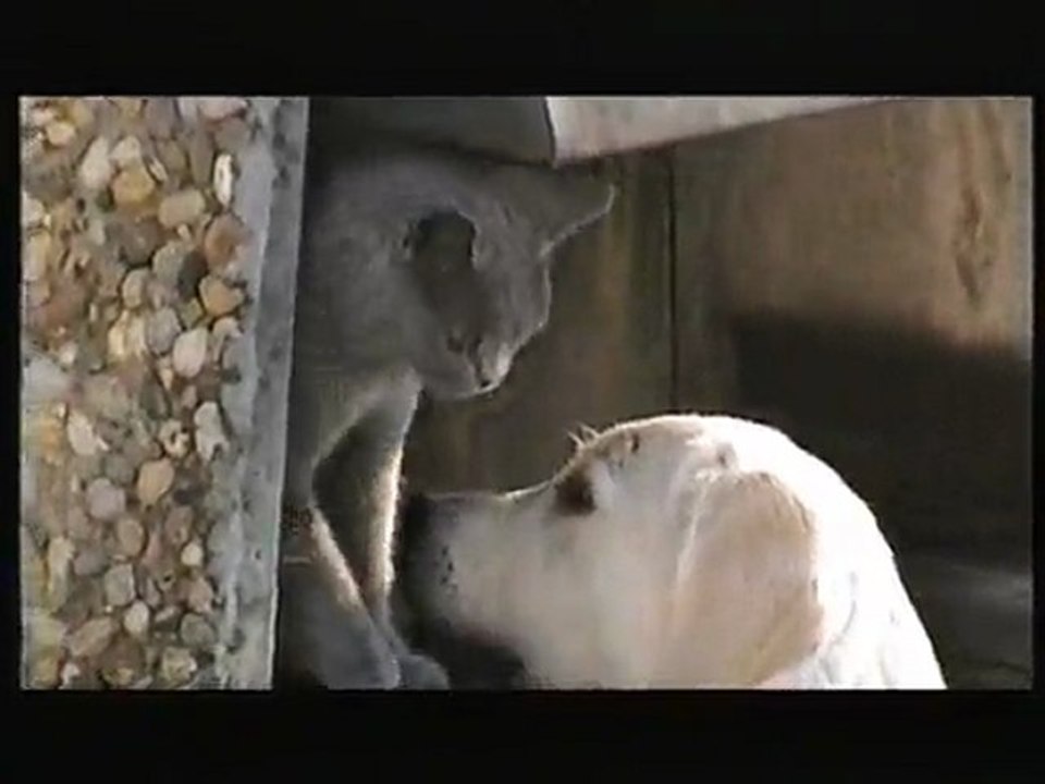 Sally1 = sallys wellness