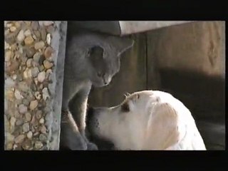 Sally1 = Sallys Wellness