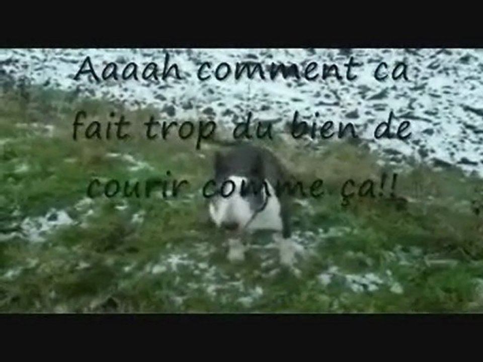 tess pète son cable!