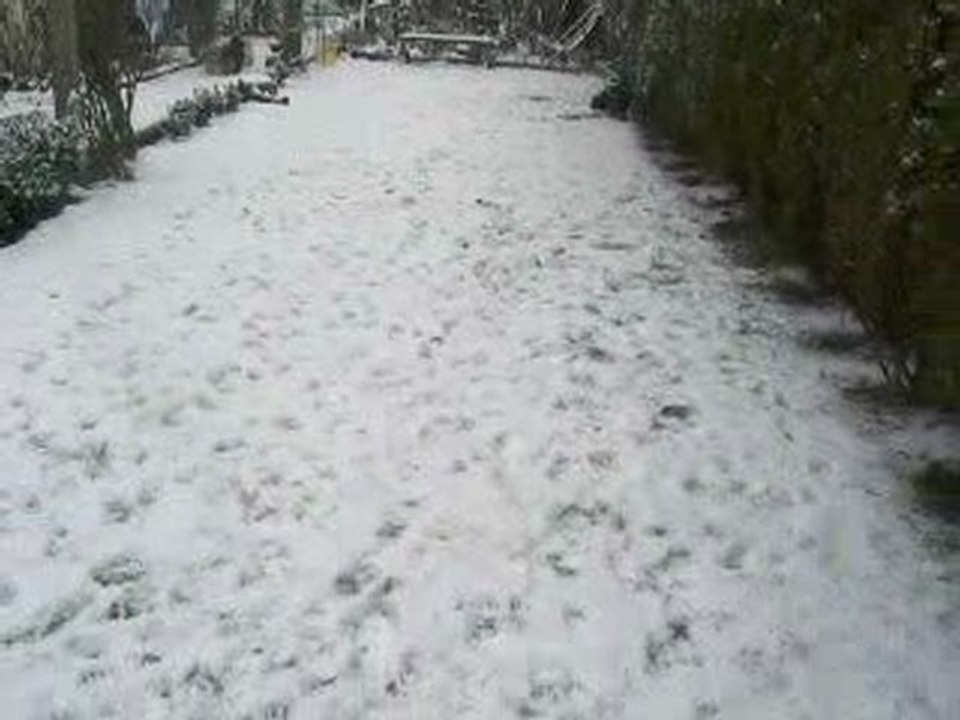 lhassa dans la neige