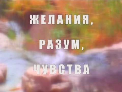 Желания, разум, чувства