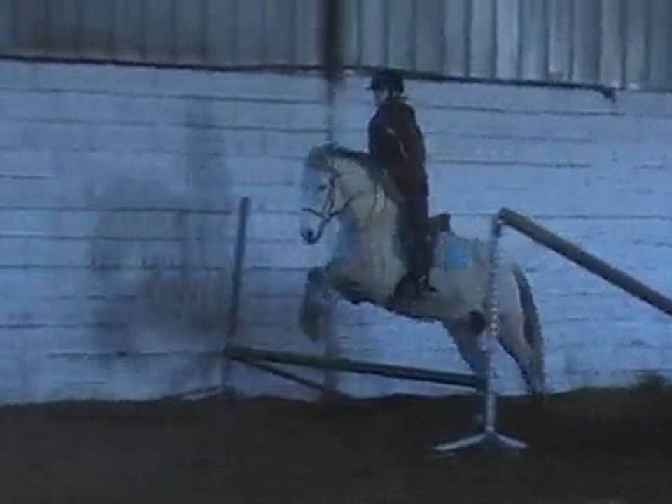 Saut normale