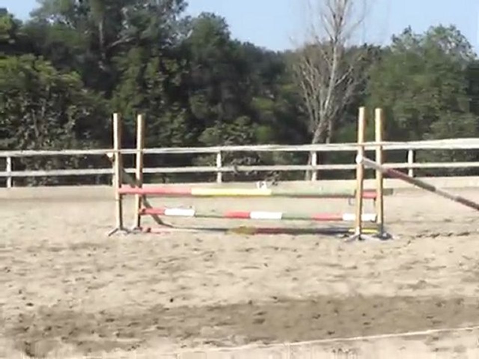 spectacle équestre  2009  006 (8)