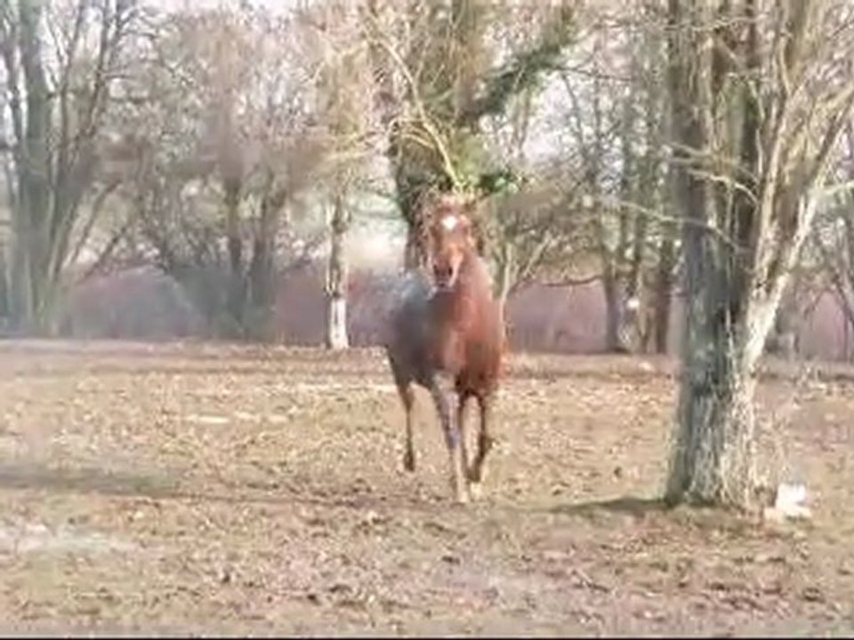 Arrivée à Chavenay