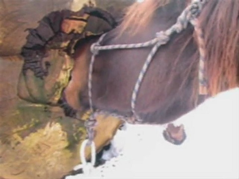 neige avec les jujus