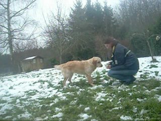 Canelle, rapport de dummy