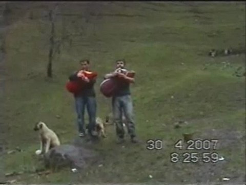 Samet Ve Mehmet Tulum hayvanlarda tulum sever