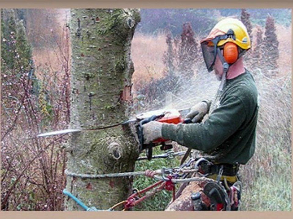 http://tree-patrol.com - Tree Patrol Tree Services