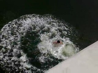 Colin Surfers Paradise