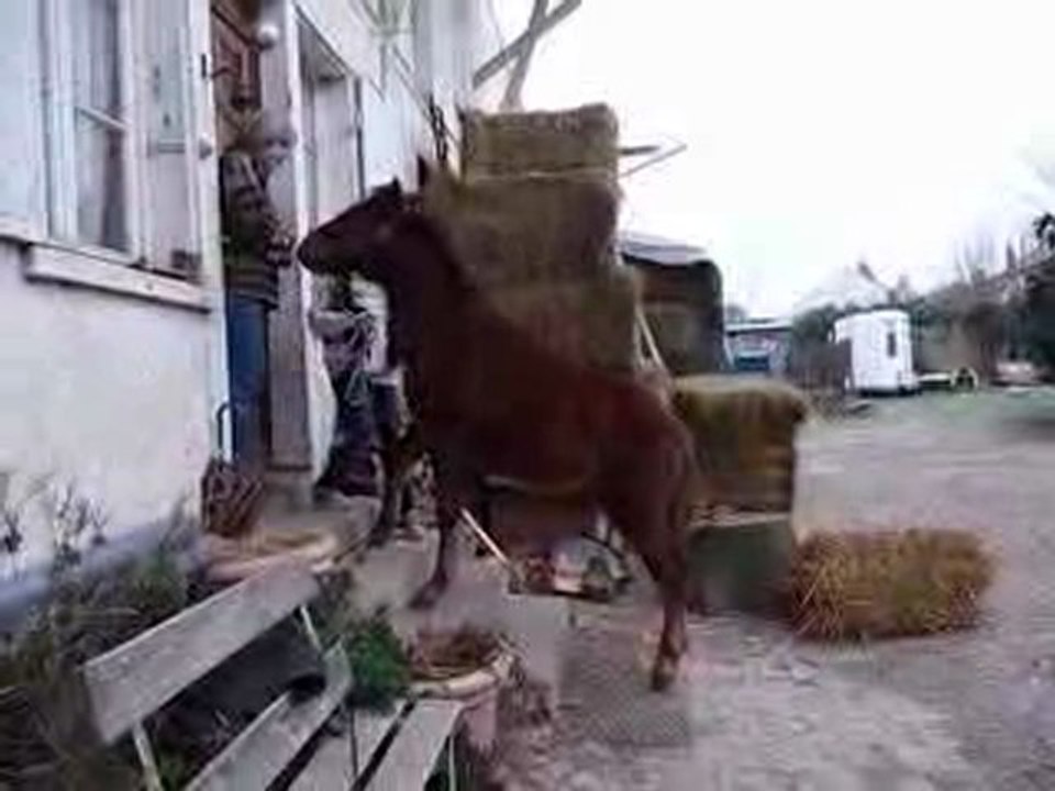 Vivi rentrera bien à la maison! lol